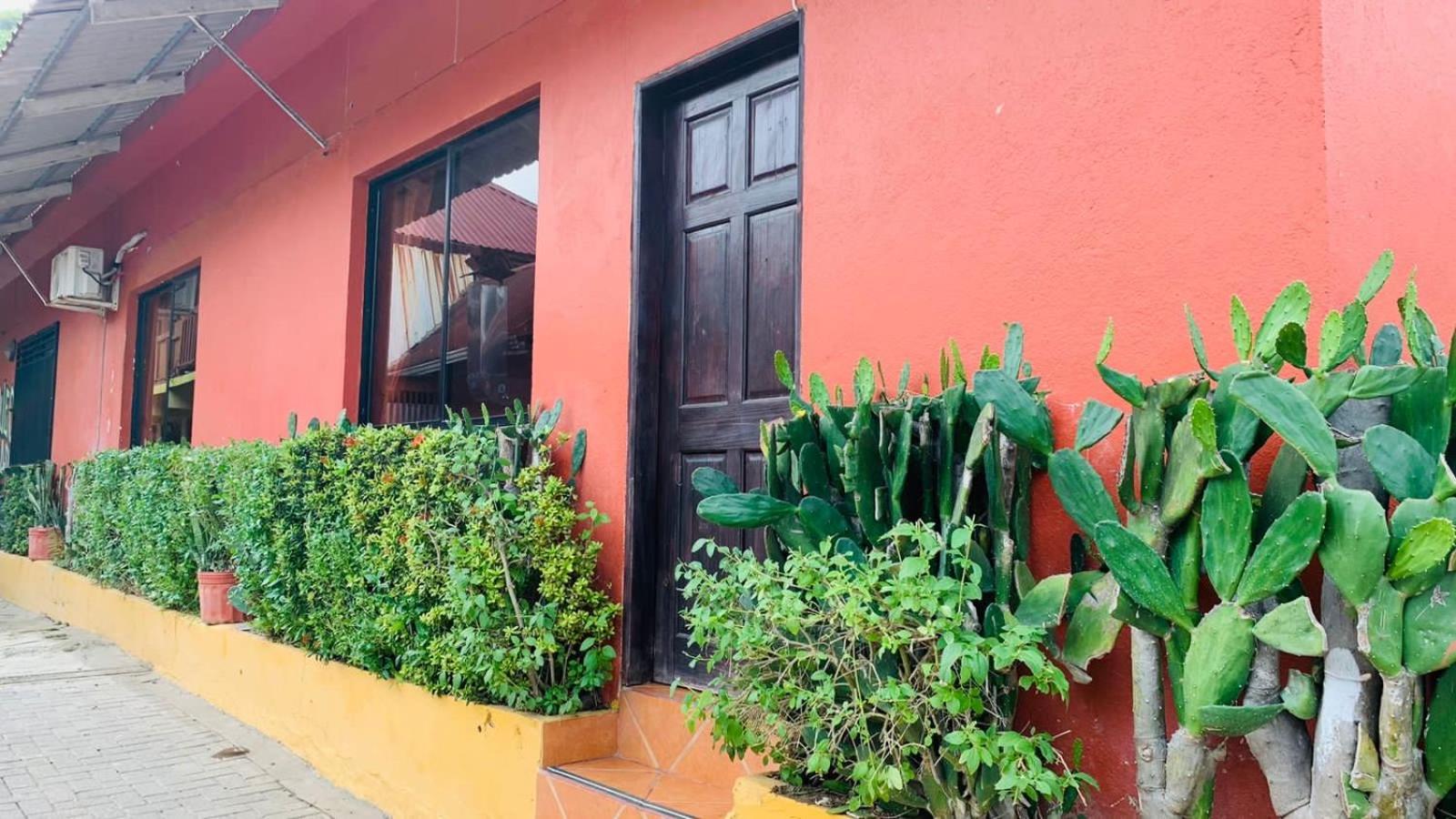 Hotel Cabinas Mar Y Cielo Montezuma Eksteriør billede