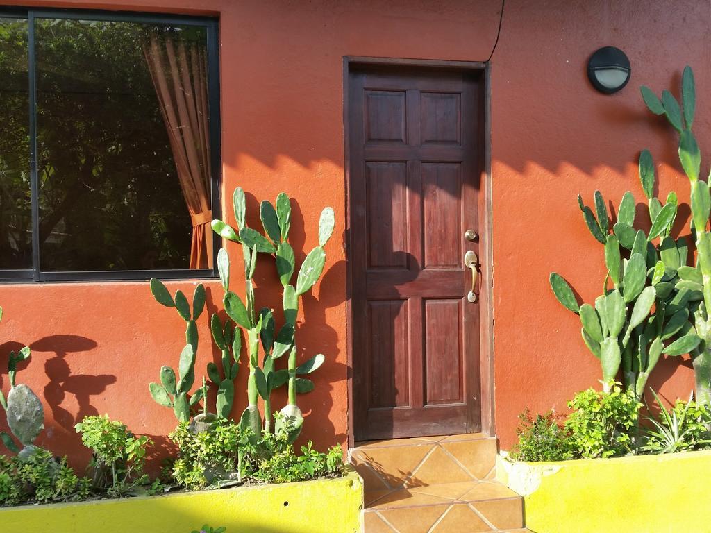 Hotel Cabinas Mar Y Cielo Montezuma Værelse billede