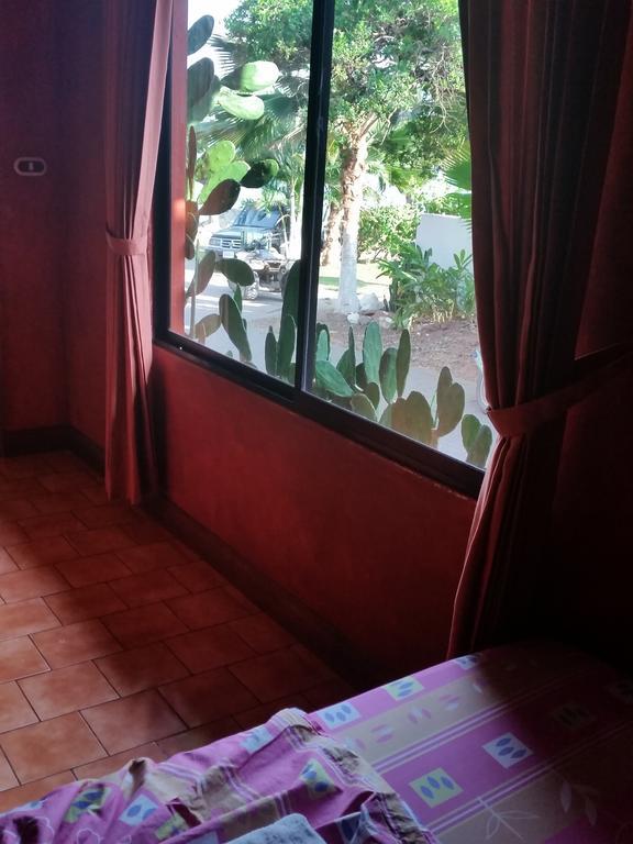 Hotel Cabinas Mar Y Cielo Montezuma Værelse billede