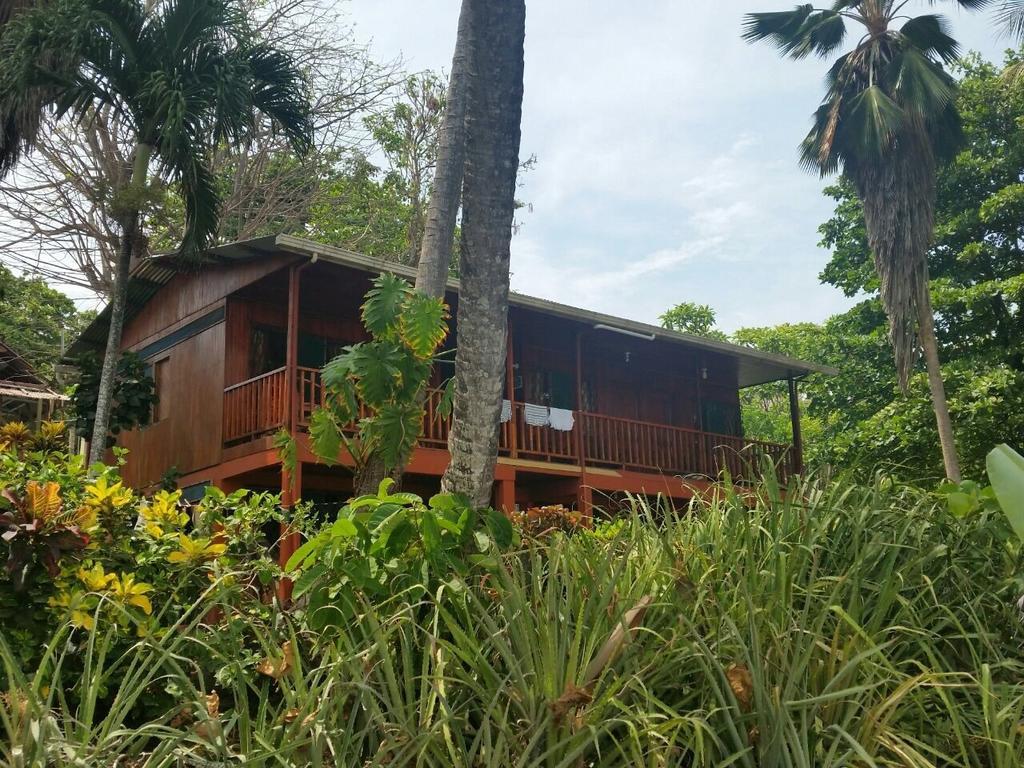 Hotel Cabinas Mar Y Cielo Montezuma Eksteriør billede
